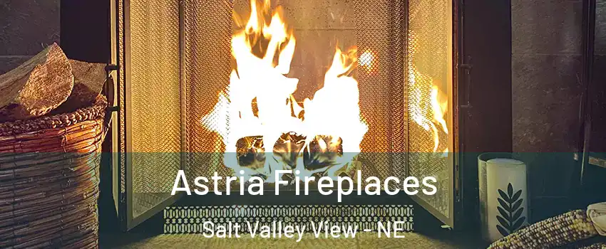 Astria Fireplaces Salt Valley View - NE