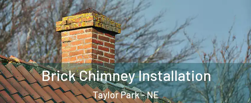 Brick Chimney Installation Taylor Park - NE
