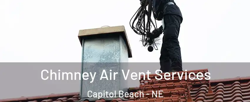 Chimney Air Vent Services Capitol Beach - NE