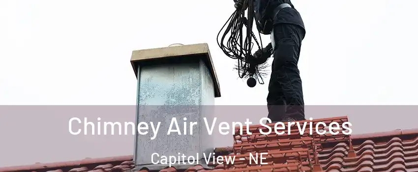 Chimney Air Vent Services Capitol View - NE