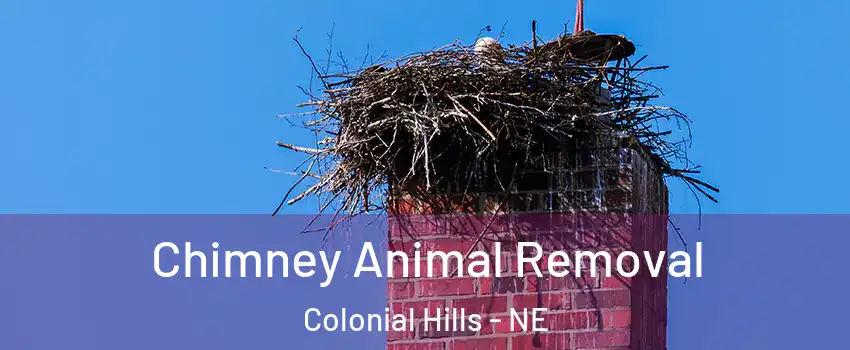 Chimney Animal Removal Colonial Hills - NE