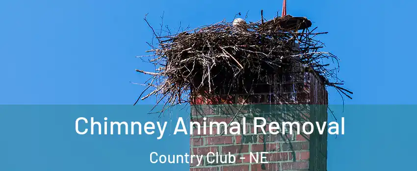 Chimney Animal Removal Country Club - NE