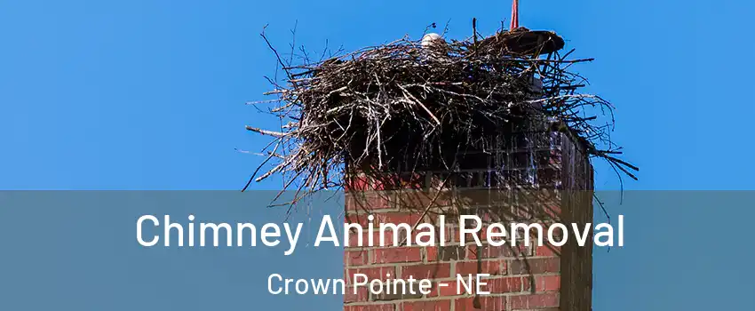 Chimney Animal Removal Crown Pointe - NE
