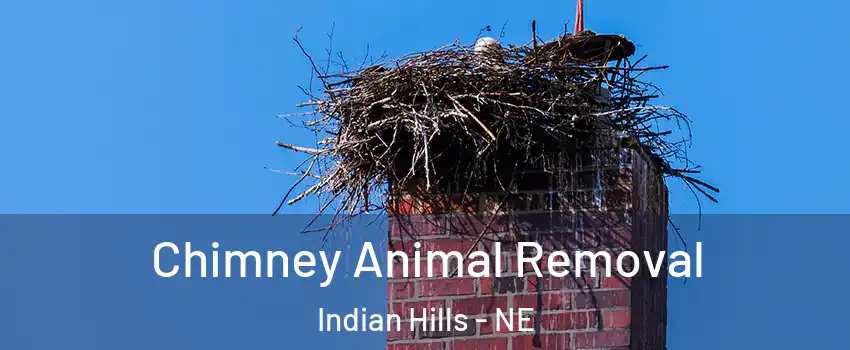 Chimney Animal Removal Indian Hills - NE