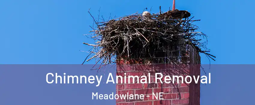 Chimney Animal Removal Meadowlane - NE