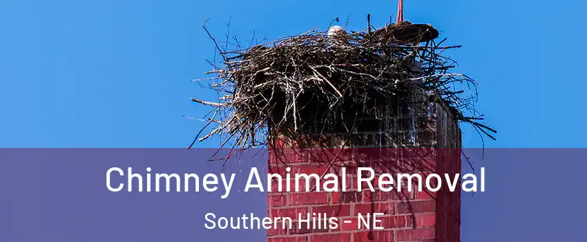 Chimney Animal Removal Southern Hills - NE