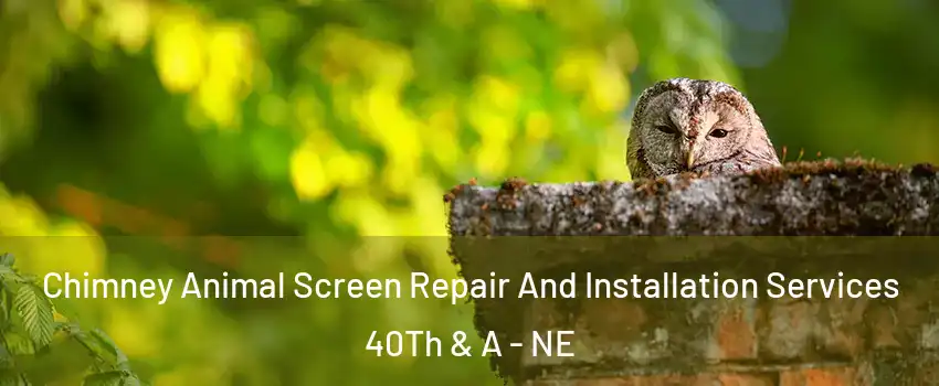 Chimney Animal Screen Repair And Installation Services 40Th & A - NE