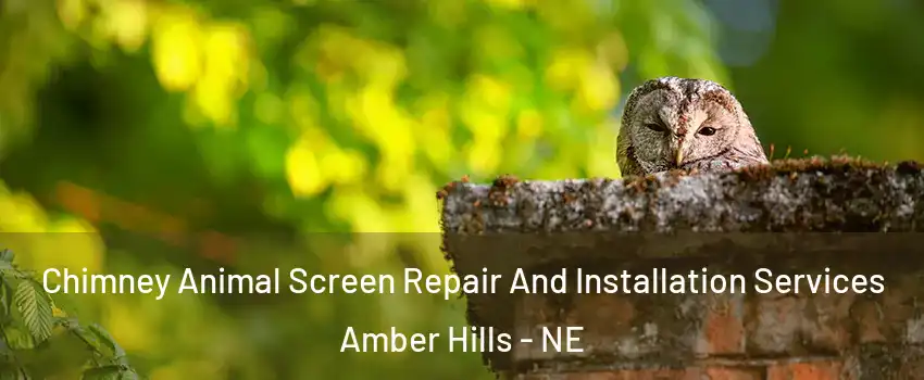 Chimney Animal Screen Repair And Installation Services Amber Hills - NE