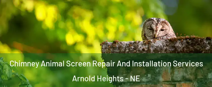 Chimney Animal Screen Repair And Installation Services Arnold Heights - NE