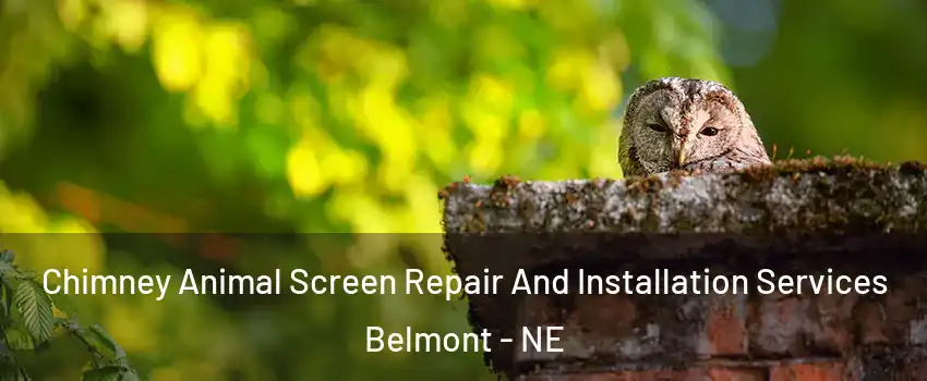 Chimney Animal Screen Repair And Installation Services Belmont - NE