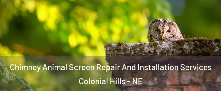 Chimney Animal Screen Repair And Installation Services Colonial Hills - NE