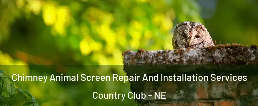 Chimney Animal Screen Repair And Installation Services Country Club - NE