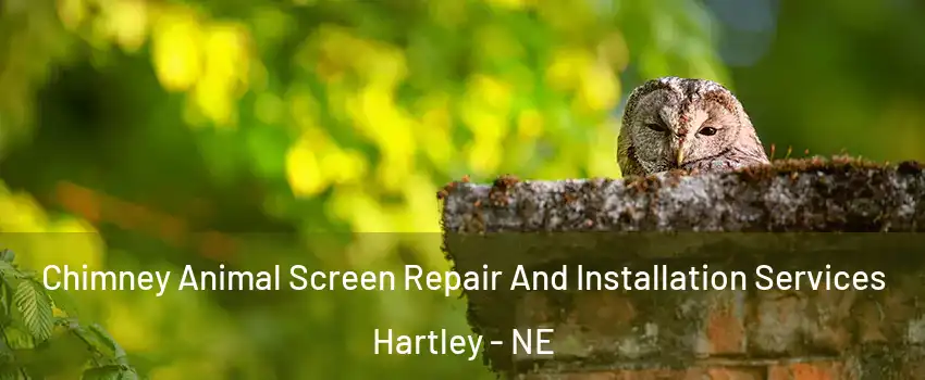 Chimney Animal Screen Repair And Installation Services Hartley - NE