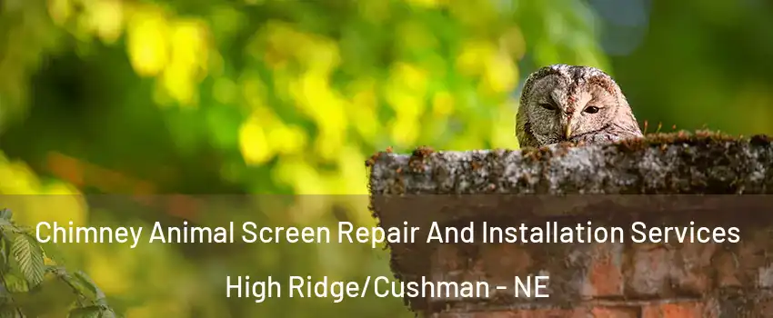 Chimney Animal Screen Repair And Installation Services High Ridge/Cushman - NE