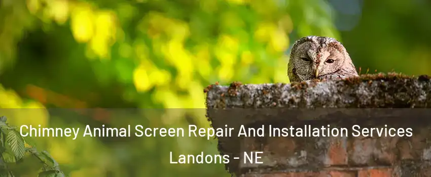 Chimney Animal Screen Repair And Installation Services Landons - NE