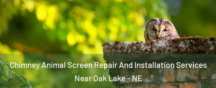 Chimney Animal Screen Repair And Installation Services Near Oak Lake - NE