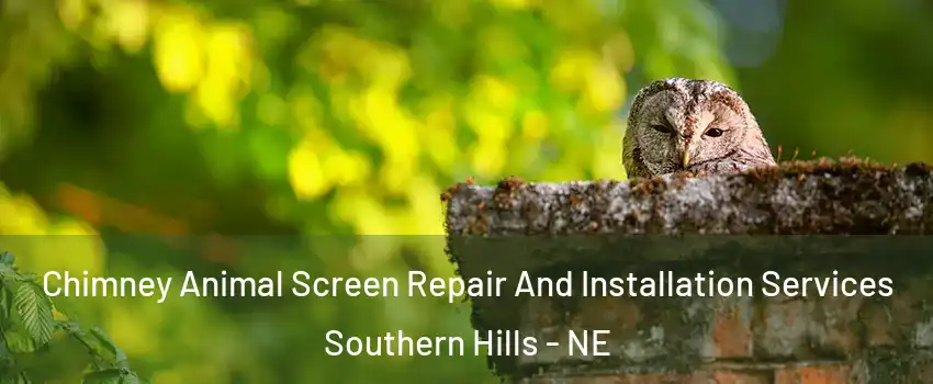 Chimney Animal Screen Repair And Installation Services Southern Hills - NE