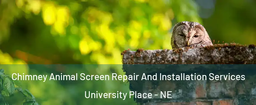 Chimney Animal Screen Repair And Installation Services University Place - NE