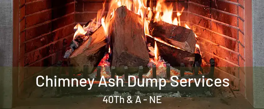 Chimney Ash Dump Services 40Th & A - NE