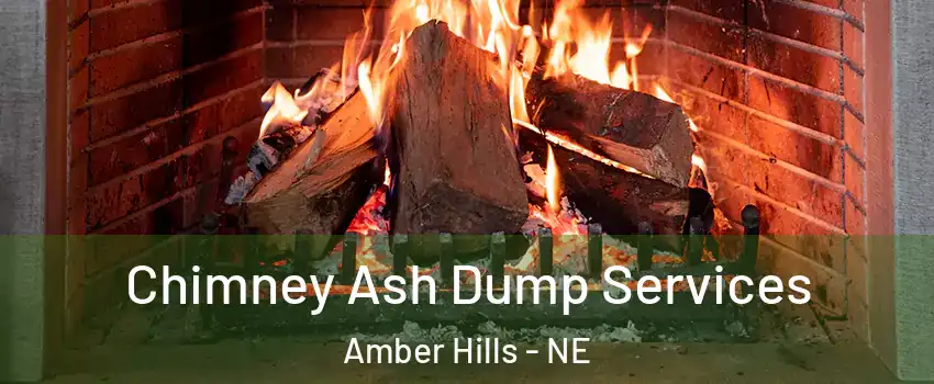 Chimney Ash Dump Services Amber Hills - NE