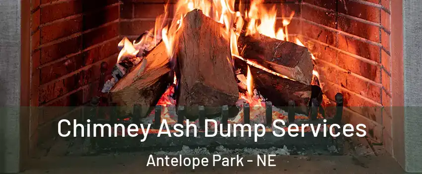 Chimney Ash Dump Services Antelope Park - NE