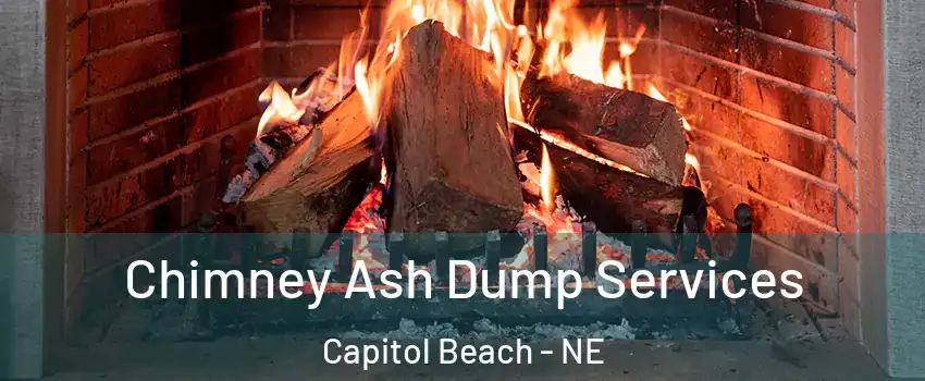 Chimney Ash Dump Services Capitol Beach - NE