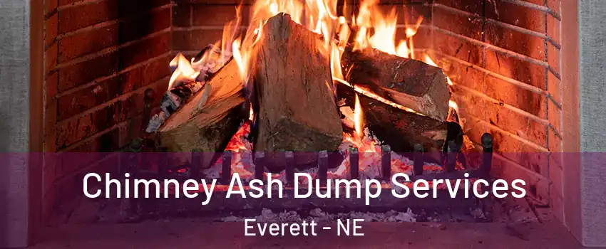 Chimney Ash Dump Services Everett - NE