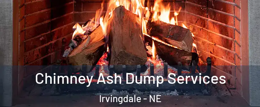 Chimney Ash Dump Services Irvingdale - NE