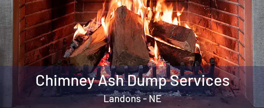 Chimney Ash Dump Services Landons - NE