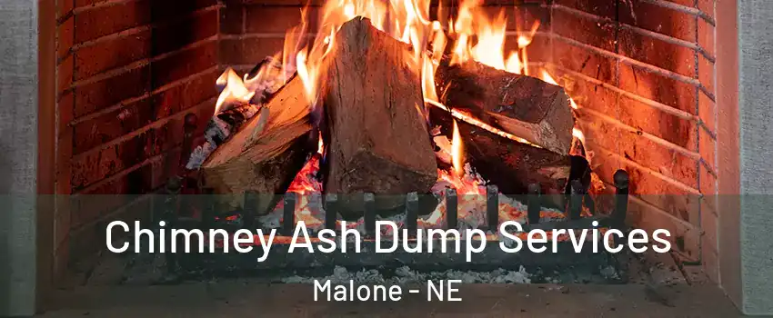 Chimney Ash Dump Services Malone - NE