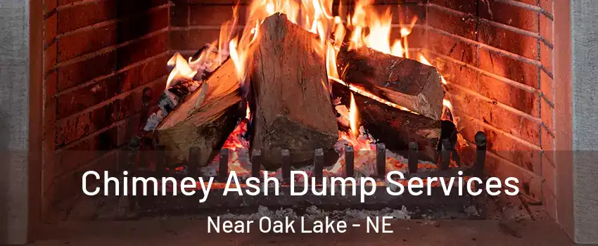 Chimney Ash Dump Services Near Oak Lake - NE