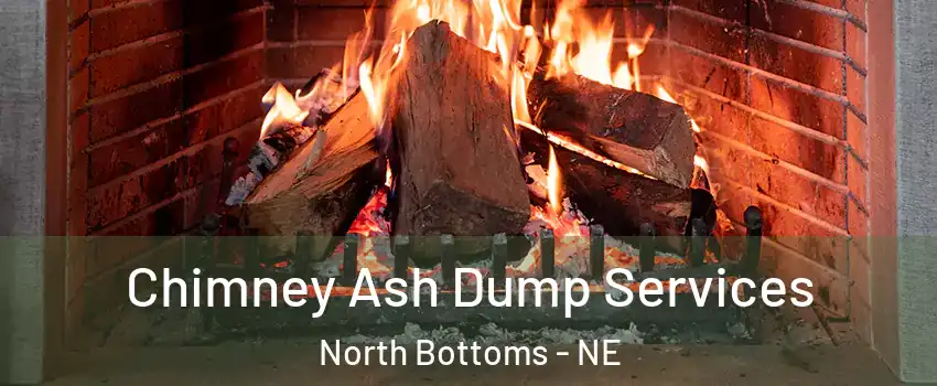 Chimney Ash Dump Services North Bottoms - NE