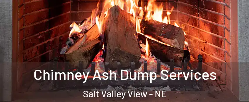 Chimney Ash Dump Services Salt Valley View - NE