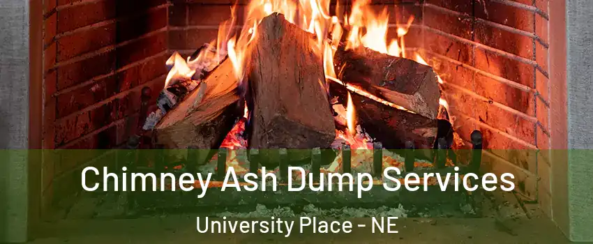 Chimney Ash Dump Services University Place - NE