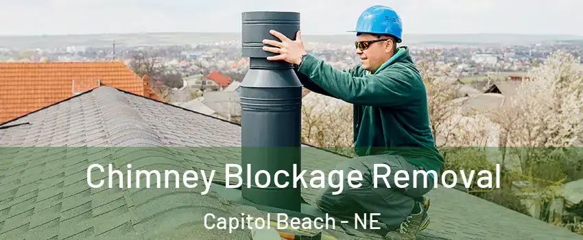 Chimney Blockage Removal Capitol Beach - NE