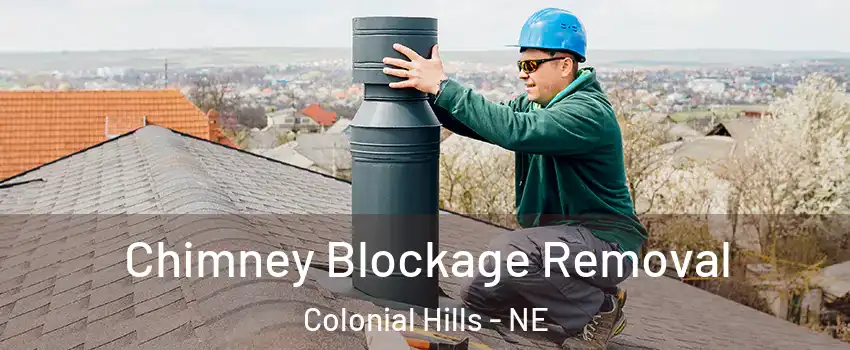 Chimney Blockage Removal Colonial Hills - NE