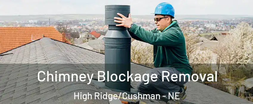 Chimney Blockage Removal High Ridge/Cushman - NE