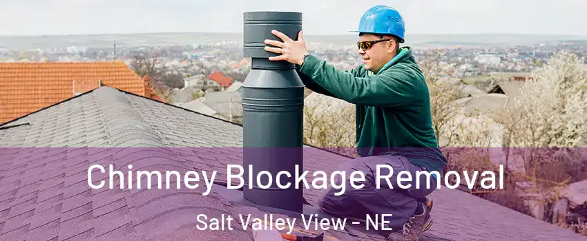 Chimney Blockage Removal Salt Valley View - NE