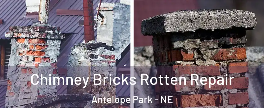 Chimney Bricks Rotten Repair Antelope Park - NE