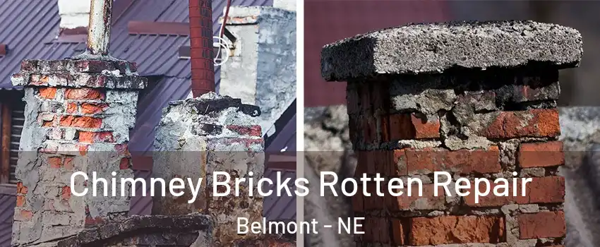 Chimney Bricks Rotten Repair Belmont - NE