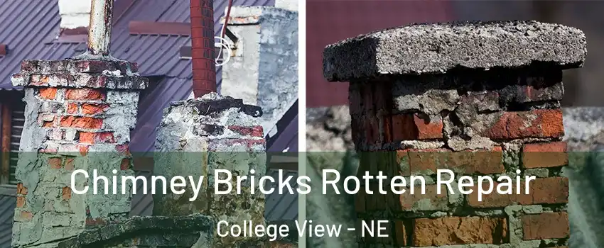 Chimney Bricks Rotten Repair College View - NE