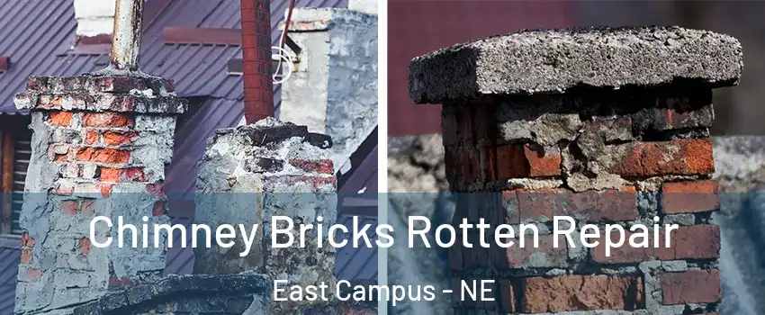 Chimney Bricks Rotten Repair East Campus - NE