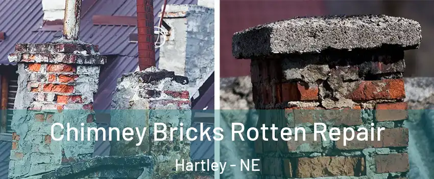 Chimney Bricks Rotten Repair Hartley - NE