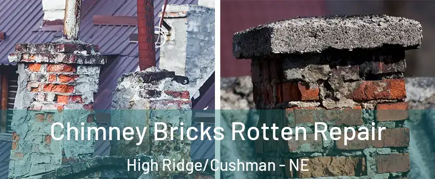 Chimney Bricks Rotten Repair High Ridge/Cushman - NE