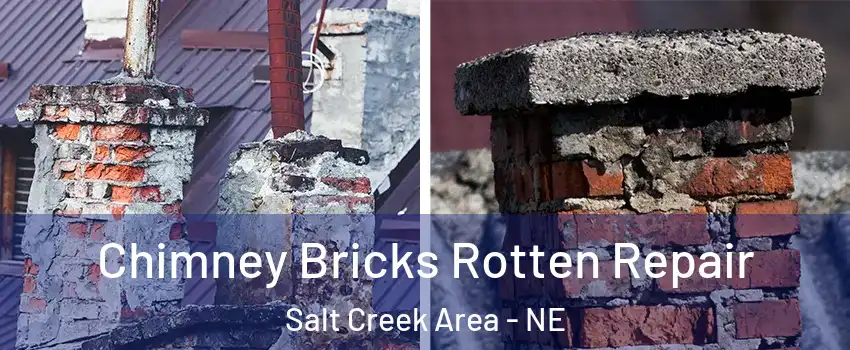 Chimney Bricks Rotten Repair Salt Creek Area - NE