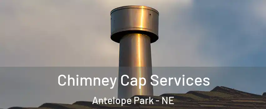 Chimney Cap Services Antelope Park - NE