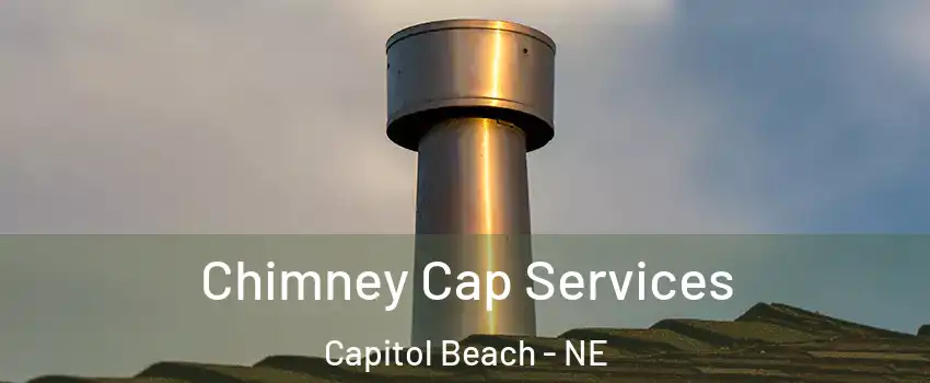 Chimney Cap Services Capitol Beach - NE