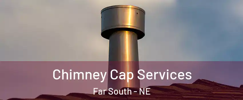 Chimney Cap Services Far South - NE