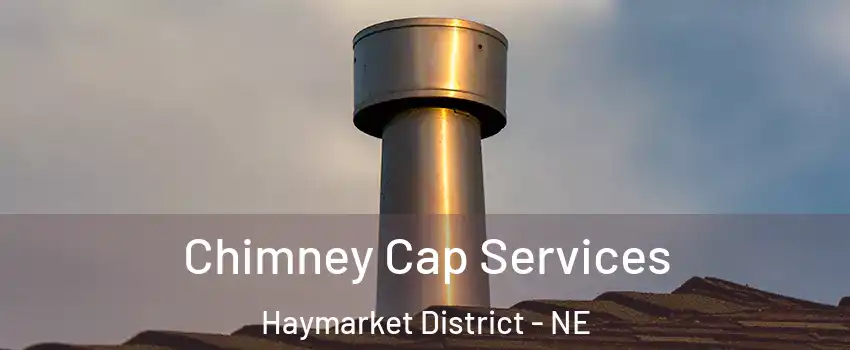 Chimney Cap Services Haymarket District - NE