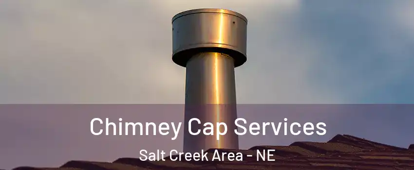 Chimney Cap Services Salt Creek Area - NE